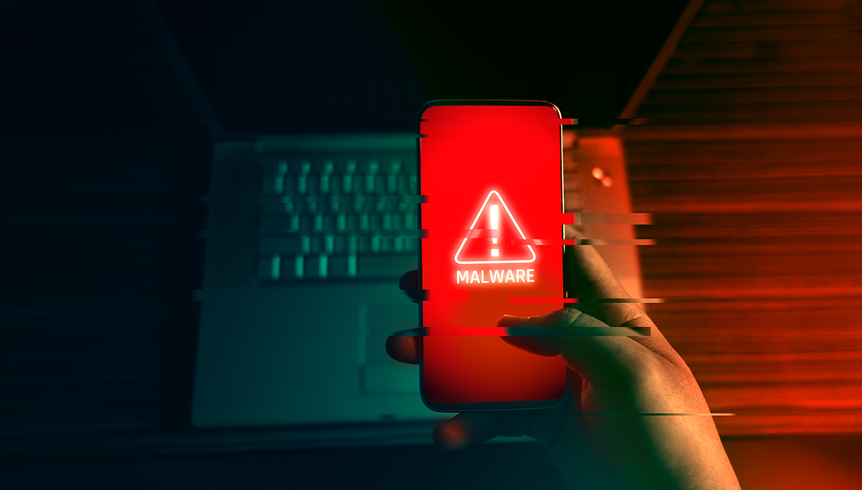 Networks and The Internet - Grade 10